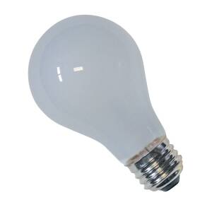 12 Volt Screw Style Light Bulb 50W